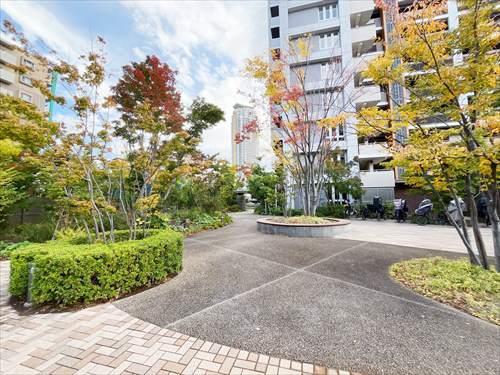 マンション前広場