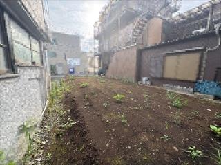 現地（2026年7月撮影）