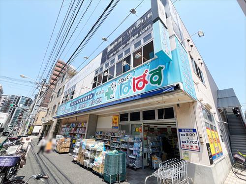 どらっぐぱぱす根津店(800m)