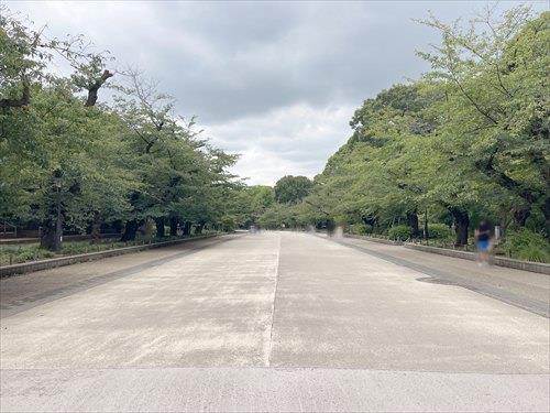 都立上野恩賜公園 1130ｍ