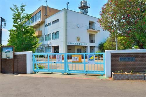 川口市立芝富士小学校まで310m