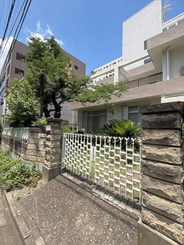 現地写真_2025年6月撮影