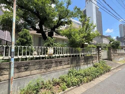 現地写真_2025年6月撮影