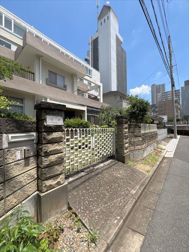 現地写真_2025年6月撮影