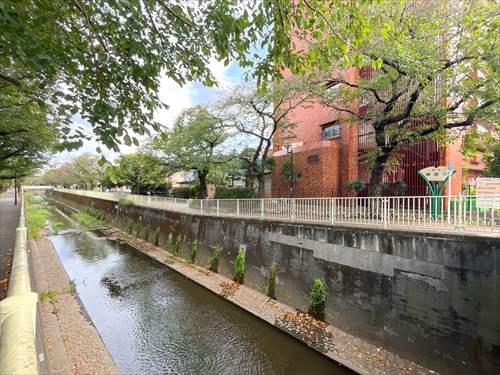 周辺環境‐佃橋から望む神田川