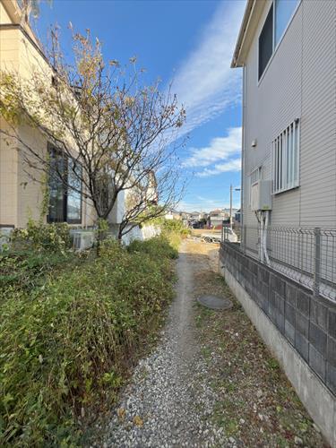 北東側水路‐2025年11月撮影