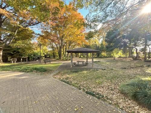 仙波河岸史跡公園‐250m