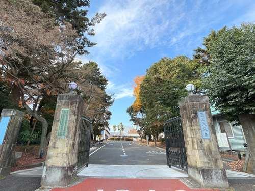 自然科学研究機構国立天文台‐1100m