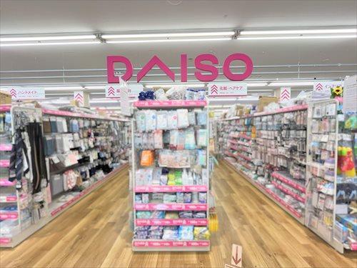 ダイソーマルエツ安行慈林店-890m
