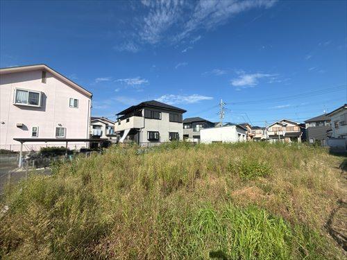 現地(2026年10月撮影)