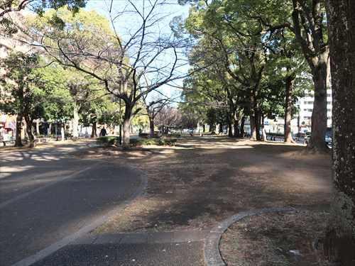 大通り公園まで870m