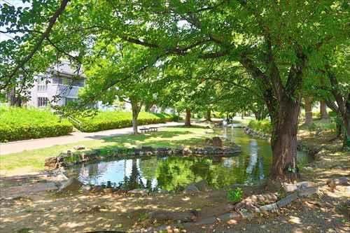 東大宮親水公園まで770m