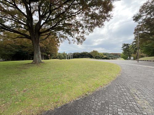 根岸森林公園まで770m