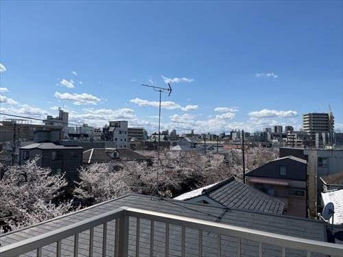 屋上からの眺望（2025年4月撮影）