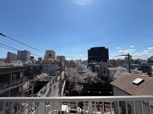 屋上からの眺望（2025年4月撮影）