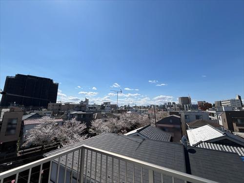 屋上からの眺望（2025年4月撮影）