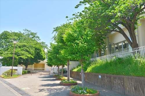 横浜市立小坪小学校まで190ｍ