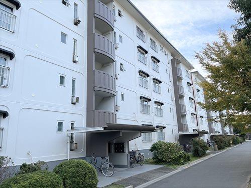 外観（2025年11月撮影）