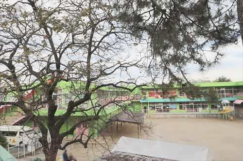 つくの幼稚園まで990m