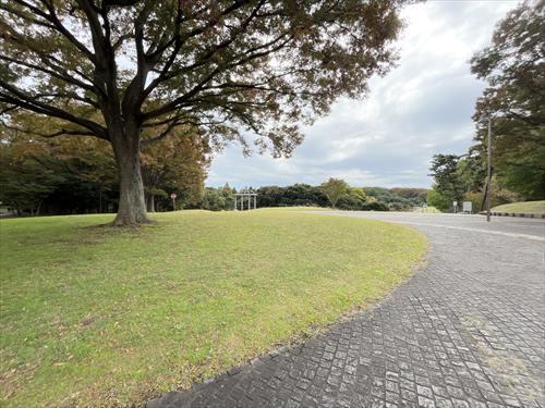 根岸森林公園まで790m