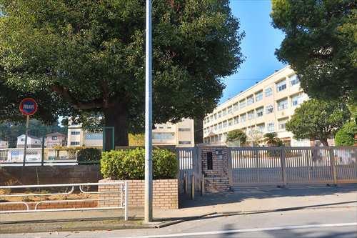 横浜市立新井小学校まで970m