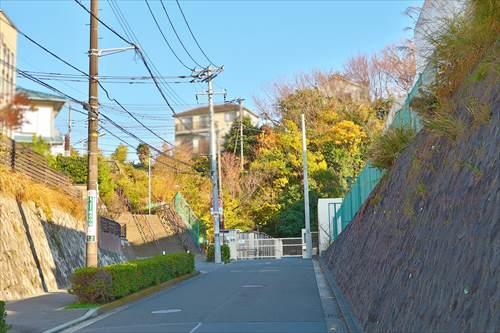 横浜市立西柴小学校まで1320m