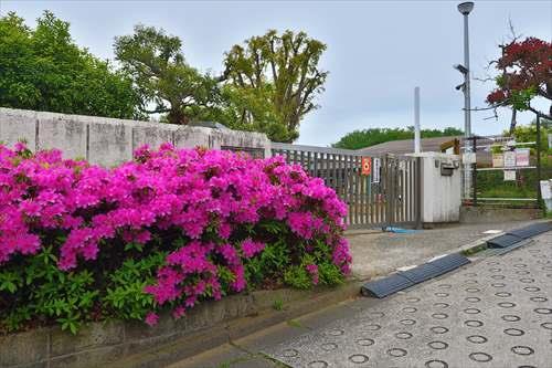 横浜市西菅田保育園まで650m
