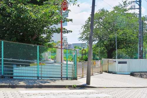 横浜市立善部小学校まで560m