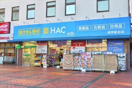ハックドラッグ根岸駅前店まで1600m