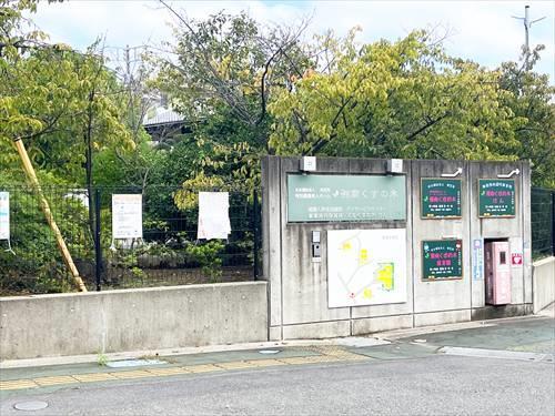 湘南くすの木保育園