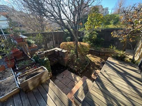 南庭。2025年12月4日撮影