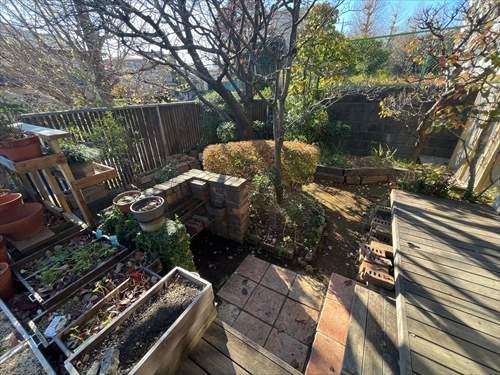 南庭。2025年12月4日撮影