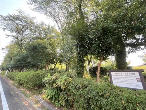 二俣川ニュータウン緑地まで530m