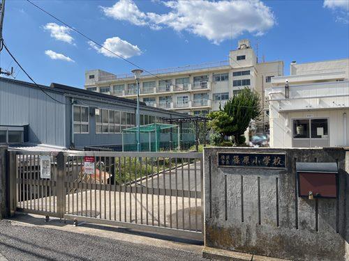 ｢横浜市立篠原小学校｣まで徒歩12分