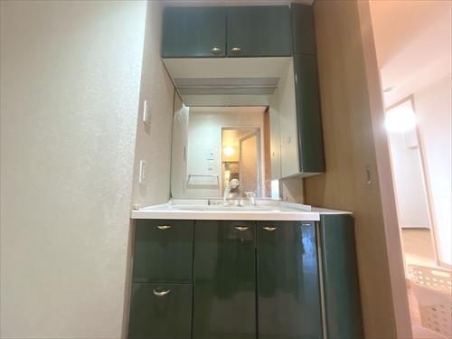 シャワー付き洗面台