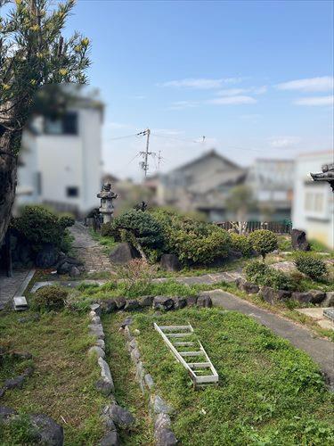 現地敷地内写真です。 現地敷地内写真です。