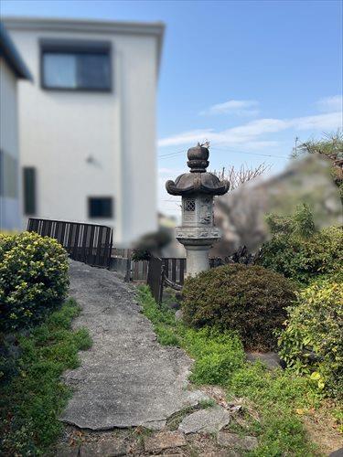 現地敷地内写真です。 現地敷地内写真です。