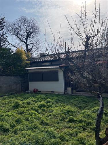 現地敷地内写真です。 現地敷地内写真です。