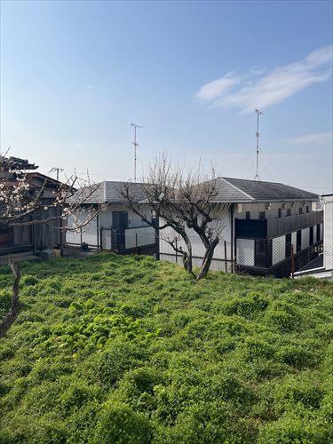 現地敷地内写真です。 現地敷地内写真です。