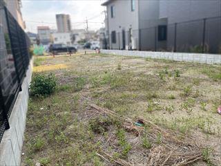 現地写真（2026年5月撮影）