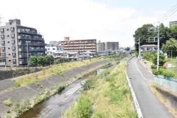 乞田川沿いは歩道があり、散歩にも良いです