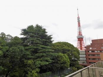 バルコニーからの眺望（眺望は永続的に保証されるものではありません）