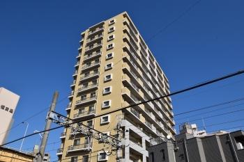 総戸数65戸　14階建て