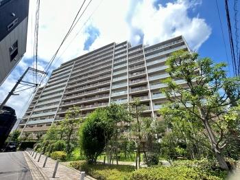 マンション外観　2012年建築　　総戸数216戸