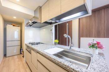 食器洗浄乾燥機付