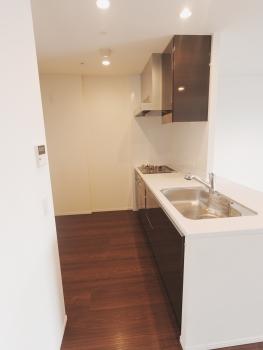 対面式キッチン、ディスポーザー付