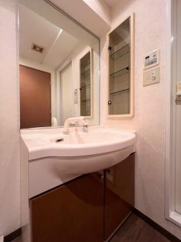 朝の身支度もスムーズにできるシャワー付洗面化粧台です。