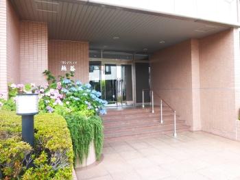 エントランス入口