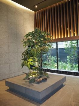 やさしく癒してくれるシンボルツリーのあるホール