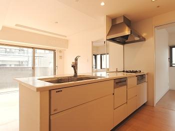 食洗乾燥機、浄水器一体型つき